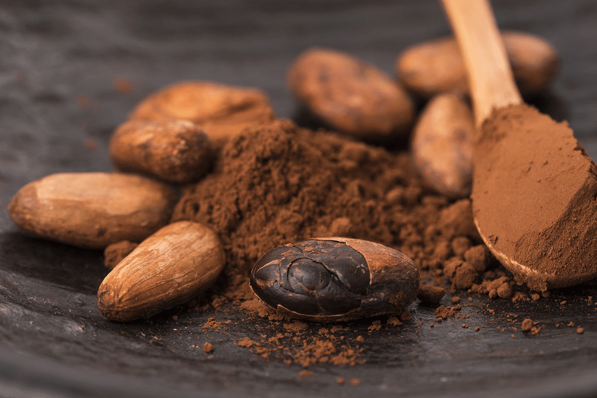 Cacao, a Classic Plant Drugs for Modern Times